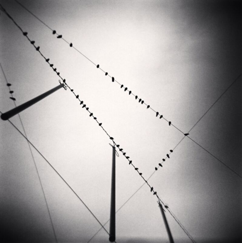 Michael Kenna, ‘Fifty Two Birds, Zurich’, 2008, Photography, Silver gel, Dolby Chadwick Gallery