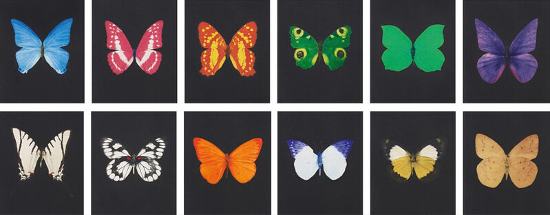 Damien Hirst, ‘Damien Hirst, Butterfly | Portfolio’, 2009, Print, Etching on paper, Oliver Cole Gallery