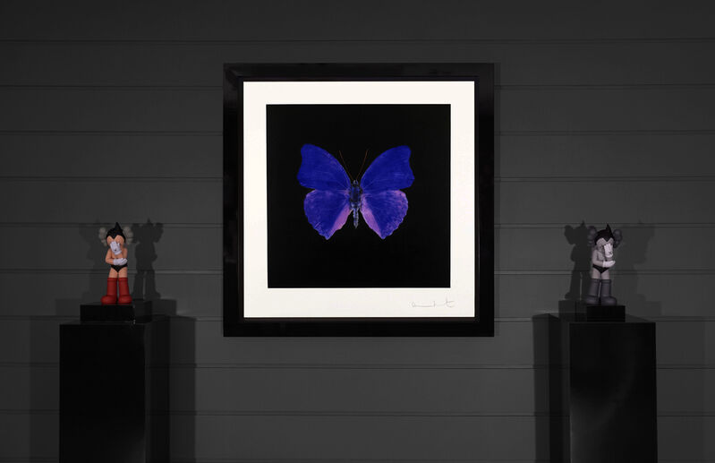 Damien Hirst, ‘Butterfly Souls Etching, Cobalt ’, 2007, Print, Etching on Velin Arches Paper, Arton Contemporary