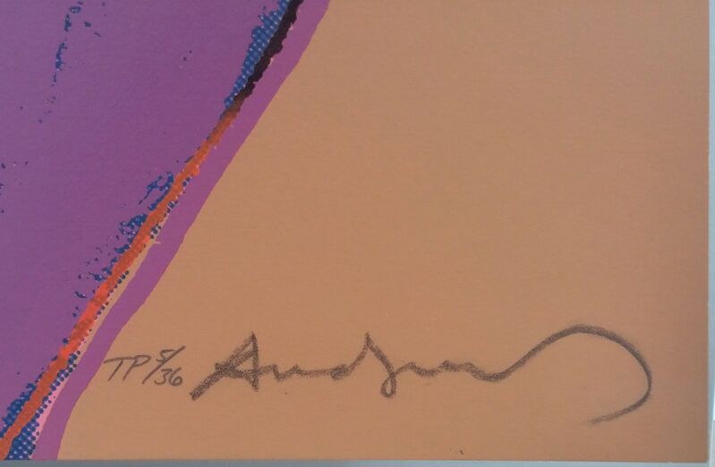 Andy Warhol, ‘NORTHWEST COAST MASK FS II.380’, 1986, Print, SCREENPRINT ON LENOX MUSEUM BOARD, Gallery Art