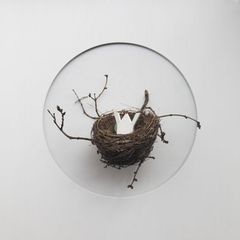 María Ángeles Atauri, ‘Bubble. House in a nest’, 2021, Sculpture, Natural materials on plastic, Galería Marita Segovia 