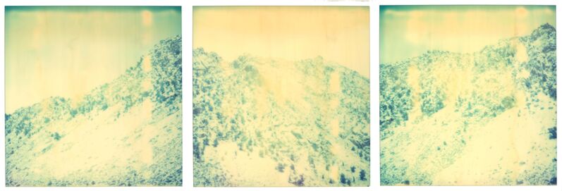 Stefanie Schneider, ‘Memories of Green - triptych’, 2003, Photography, 3 Analog C-Prints, hand-printed by the artist on Fuji Crystal Archive Paper, based on 3 Polaroids, not mounted, Instantdreams