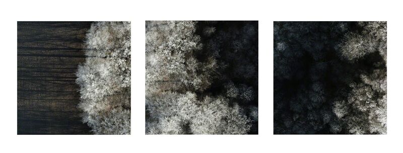 Kacper Kowalski, ‘Untitled (Winter Trees Triptych)’, 2017-2018, Photography, Archival pigment prints, Galerie XII