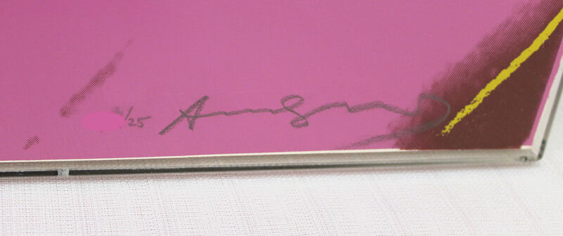 Andy Warhol, ‘Karen Kain (FS II.236)’, 1980, Print, Screenprint with Diamond Dust on Lenox Museum Board., Revolver Gallery