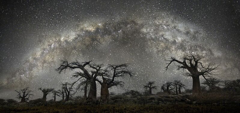 Beth Moon, ‘Andromeda’, Photography, Archival Pigment Print, photo-eye Gallery