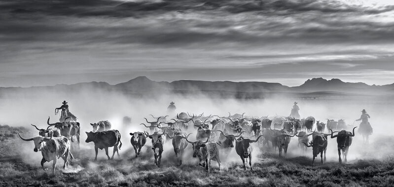David Yarrow, ‘The Thundering Herd’, 2021, Photography, Museum Glass, Passe-Partout & Black wooden frame, Leonhard's Gallery
