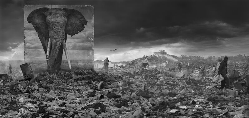 Nick Brandt, ‘Wasteland with Elephant’, 2015, Photography, Archival Pigment Photograph, Holden Luntz Gallery