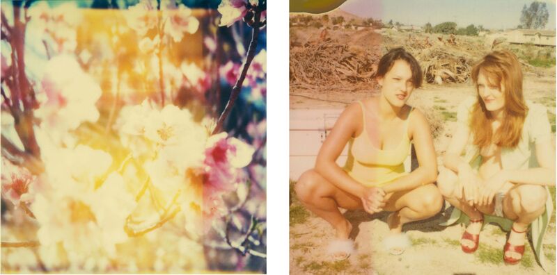 Stefanie Schneider, ‘Cherry Tree Blossom’, 2006, Photography, Digital C-Prints based on 2 Polaroids, not mounted, Instantdreams