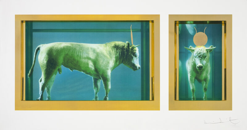 Damien Hirst, ‘The Golden Calf’, 2009, Print, Silkscreen and gold leaf on Somerset Tub sized 410gsm, Paul Stolper Gallery