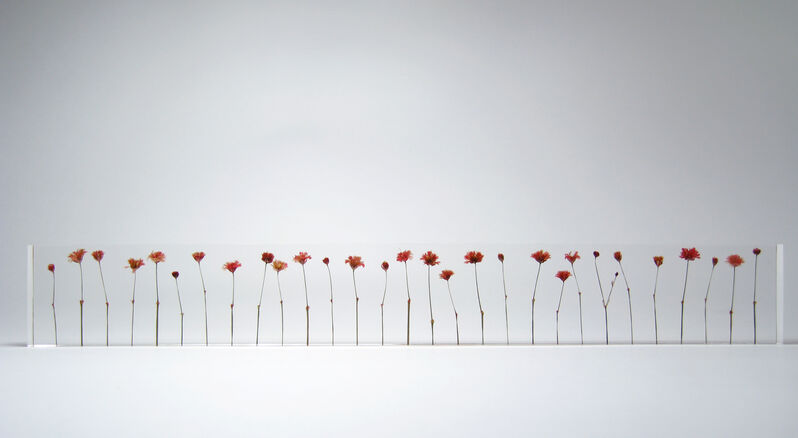 Norihiko Terayama, ‘f.l.o.w.e.r.s’, 2007, Design/Decorative Art, Acrylic glass, dry flowers, Micheko Galerie