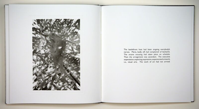 Alex Katz, ‘Coma Berenices’, 2005, Print, Cloth-bound book containing poem Coma Berenices by John Ashbery and eleven photogravure images by Alex Katz, Graphicstudio USF