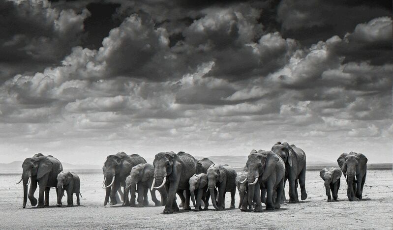 David Yarrow, ‘The Crossing’, Photography, Archival ink on paper, Fineart Oslo