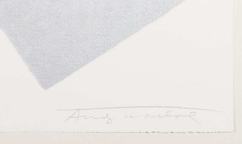 Andy Warhol, ‘Mick Jagger F&S II.142’, 1975, Print, Screenprint on Arches Aquarelle (Rough) Paper, Fine Art Mia