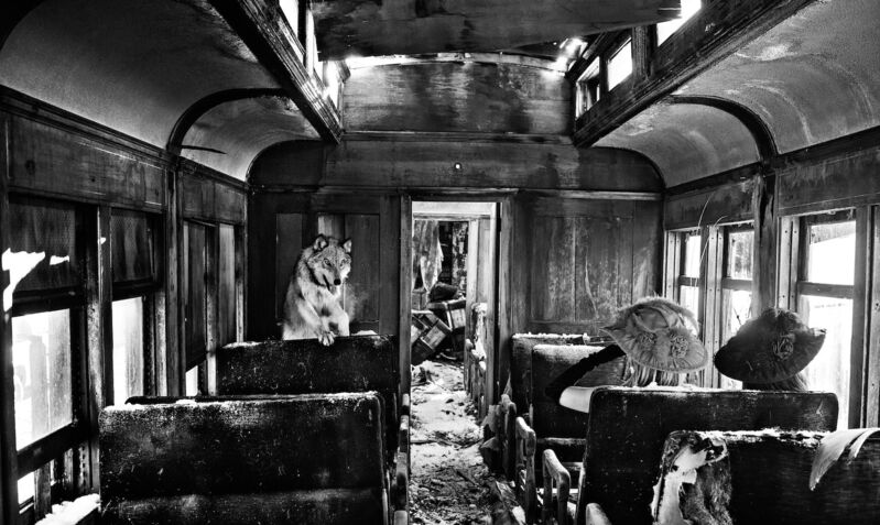 David Yarrow, ‘Ride The Ghost Train’, 2015, Photography, Technique: Archival Pigment Print, Petra Gut Contemporary