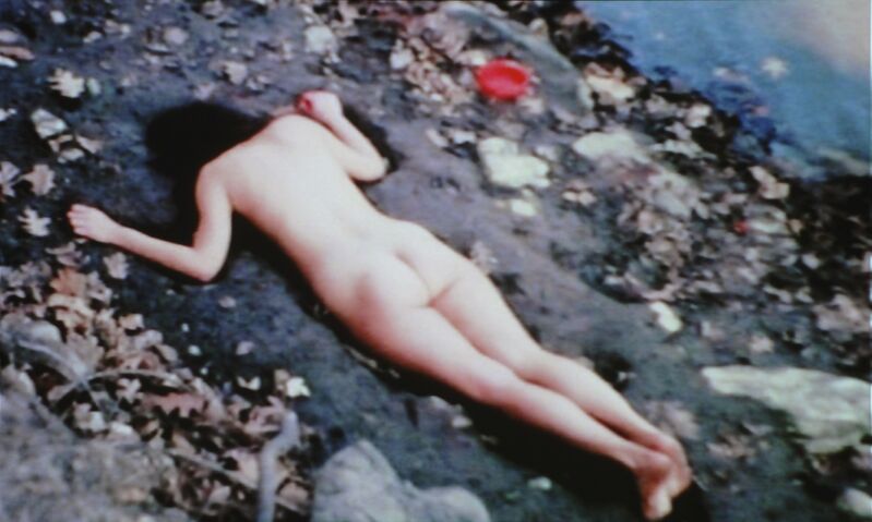 Ana Mendieta, ‘Corazón de Roca con Sangre (Rock Heart with Blood)’, 1975, Video/Film/Animation, 8mm color film transferred to DVD, Hirshhorn Museum and Sculpture Garden