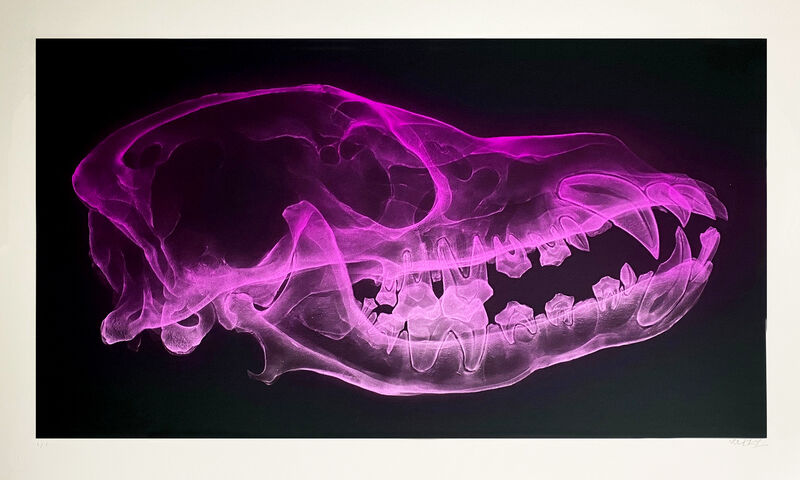 Shok-1, ‘Dog Skull (Neon Violet)’, 2020, Print, Hand painted acrylic and archival UltraChrome inks on Hahnemühle PhotoRag 308gsm. (Framed), AURUM GALLERY