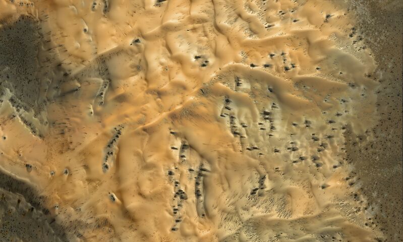 Michael Benson, ‘Spring Sublimation in High-Latitude Southern Dunes, Mars Reconnaissance Orbiter, November 20, 2012’, 2016, Photography, Mosaic composite photograph. Digital C-print, Flowers