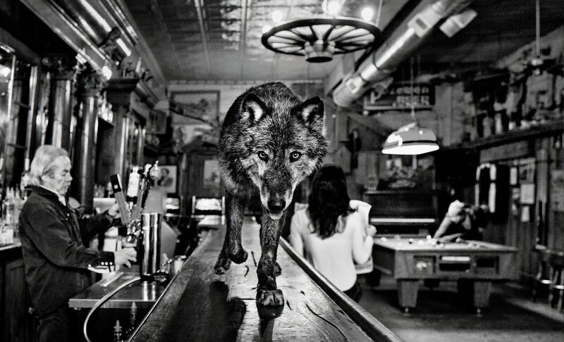 David Yarrow, ‘The Wolf of Main Street’, ca. 2015, Photography, Samuel Lynne Galleries