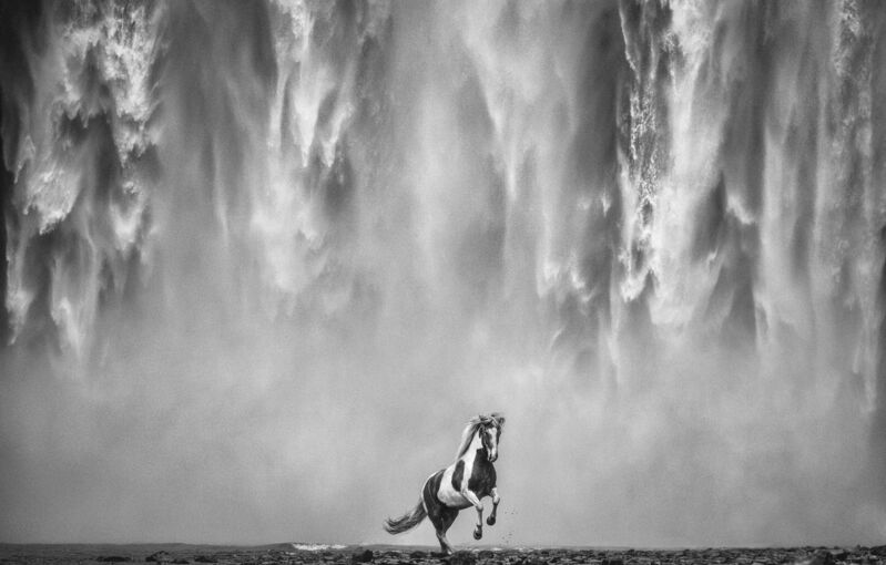David Yarrow, ‘Legends of the Fall’, 2020, Photography, Archival Pigment Print, CAMERA WORK