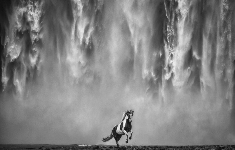 David Yarrow, ‘Legends of the Fall’, 2020, Photography, Technique: Archival Pigment Print, Petra Gut Contemporary