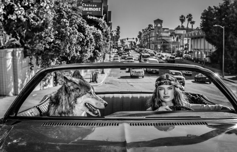 David Yarrow, ‘Chateau Marmont’, 2019, Photography, Archival Pigment Print, Maddox Gallery