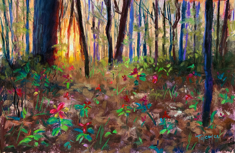 Takeyce Walter, ‘Day 14: Spring Awakening ’, February 2020, Painting, Pastels, Keene Arts
