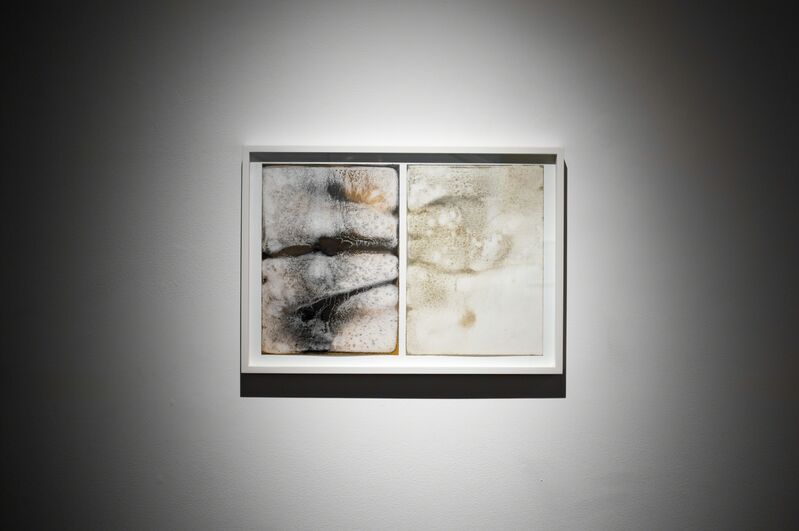 Shinji Turner-Yamamoto, ‘Sidereal Silence: Irish Study #36 (diptych)’, 2015, Drawing, Collage or other Work on Paper, Ca. 450-million-year-old Ordovician fossil dust, turf ash, mica, rainwater, nikawa glue, tree resin, arches paper, Sapar Contemporary