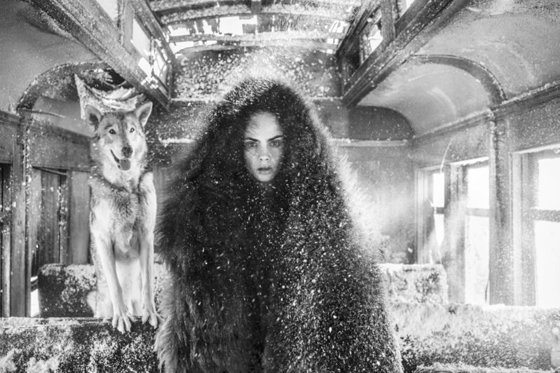 David Yarrow, ‘The Girl Who Cried Wolf’, 2020, Photography, Archival Pigment Print, CAMERA WORK