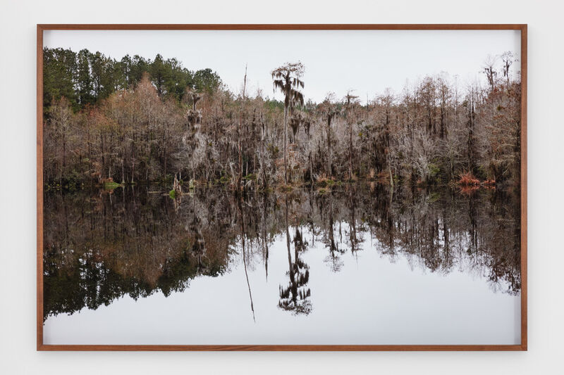 Catherine Opie, ‘Untitled #7 (Swamps)’, 2019, Photography, Pigment Print, Lehmann Maupin