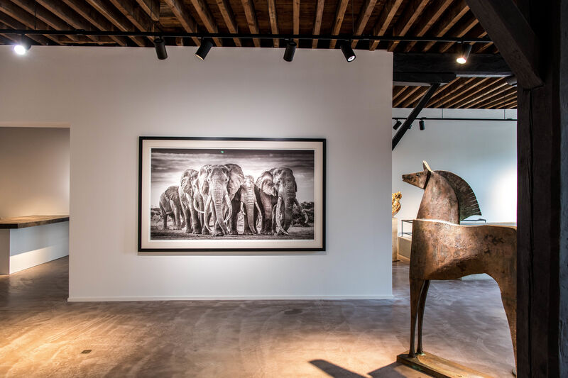 David Yarrow, ‘The Pack’, 2019, Photography, Museum Glass, Passe-Partout & Black wooden frame, Leonhard's Gallery