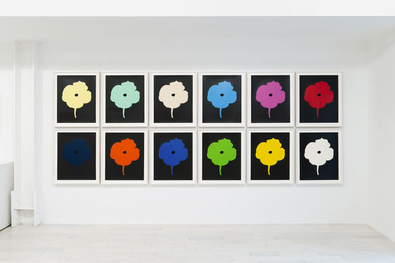 Donald Sultan, ‘12 Colors’, 2007, Print, Silkscreen, Mary Ryan Gallery, Inc