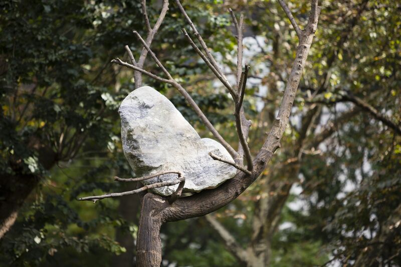 Giuseppe Penone, ‘Idee di pietra - Olmo (Ideas of Stone - Elm)’, 2008, Sculpture, Bronze, river stone, Madison Square Park