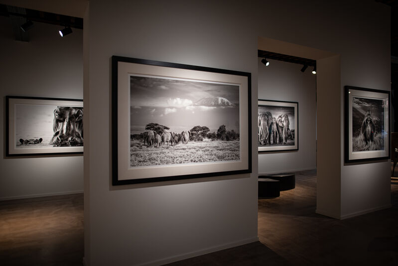 David Yarrow, ‘Garden of Eden’, 2018, Photography, Museum Glass, Passe-Partout & Black wooden frame, Leonhard's Gallery