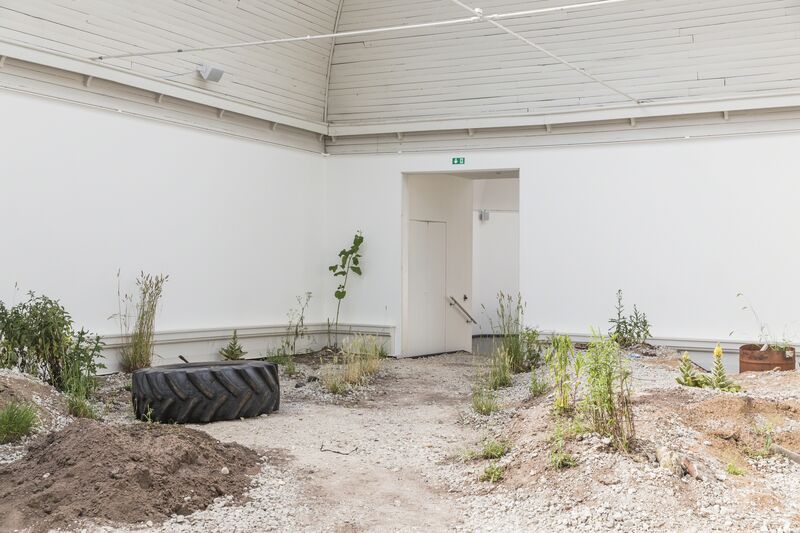 Tue Greenfort, ‘Ruderat’, 2017, Installation, Den Frie Centre of Contemporary Art