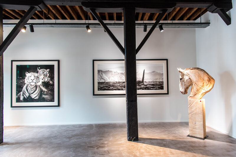 David Yarrow, ‘The Jungle Book Stories’, 2013, Photography, Museum Glass, Passe-Partout & Black wooden frame, Leonhard's Gallery