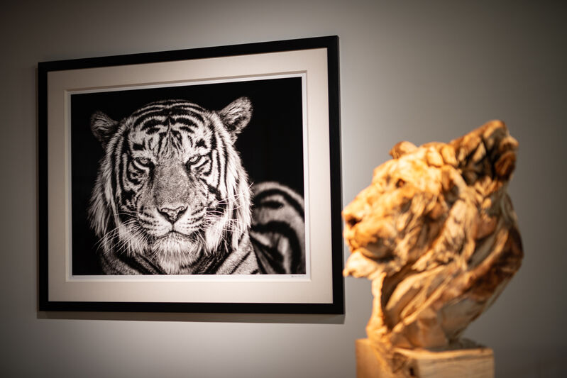 David Yarrow, ‘The Cave’, 2019, Photography, Museum Glass, Passe-Partout & Black wooden frame, Leonhard's Gallery