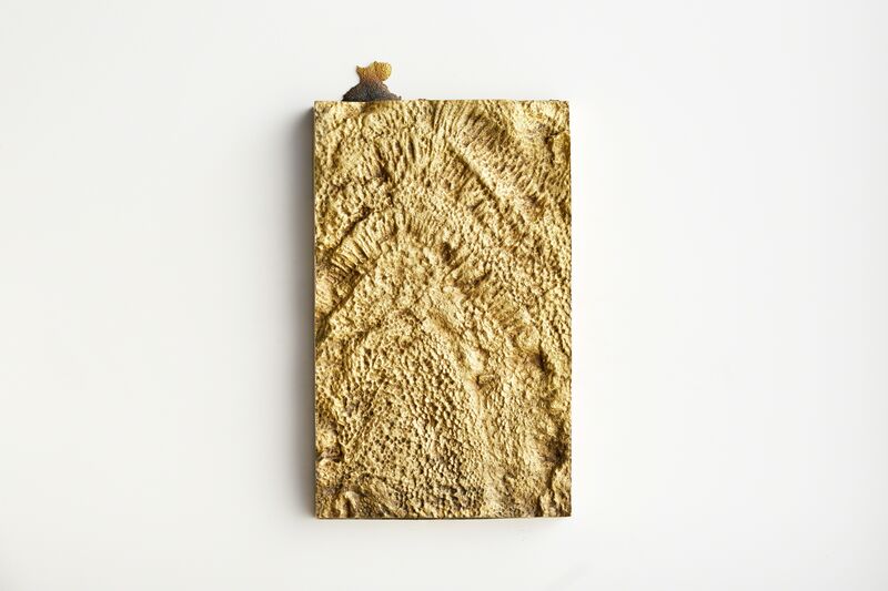 Shinji Turner-Yamamoto, ‘Pentimenti #73’, 2018, Sculpture, Sand-cast brass from c.a. 400-million-year-old coral fossil, Sapar Contemporary
