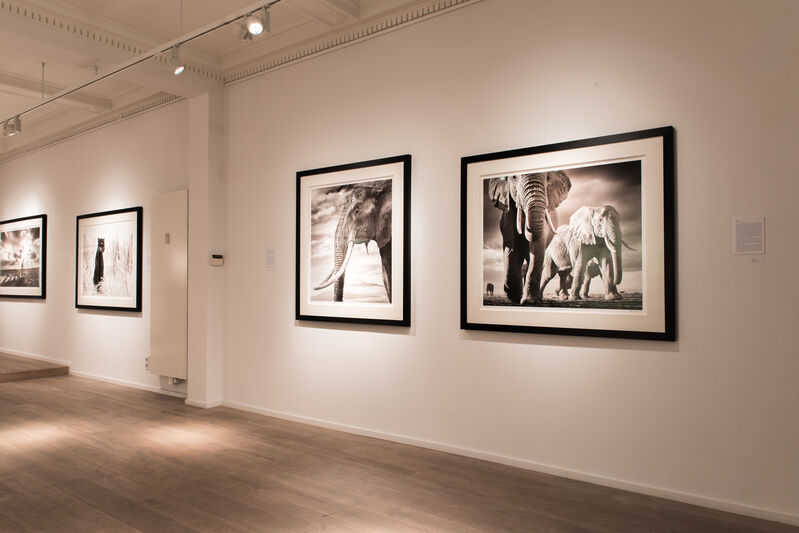 David Yarrow, ‘Snow Patrol’, 2014, Photography, Museum Glass, Passe-Partout & Black wooden frame, Leonhard's Gallery