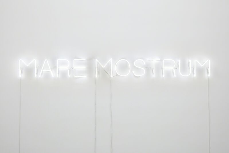 Runo Lagomarsino, ‘Mare Nostrum,’, 2016, Installation, Neon sign, Francesca Minini