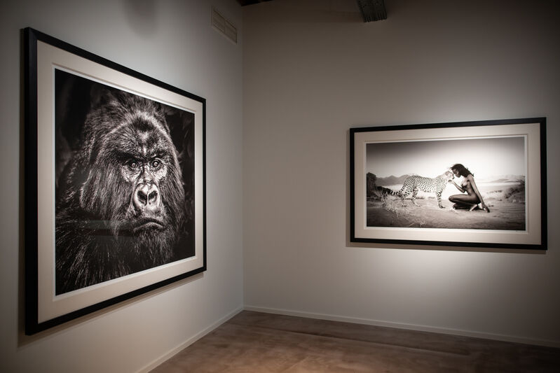 David Yarrow, ‘Trust’, 2013, Photography, Museum Glass, Passe-Partout & Black wooden frame, Leonhard's Gallery