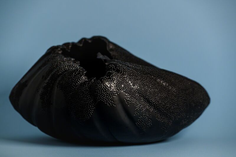 Irina Salmina, ‘Black reptile shell’, 2019, Sculpture, Earthenware clay, glaze, Composition.Gallery
