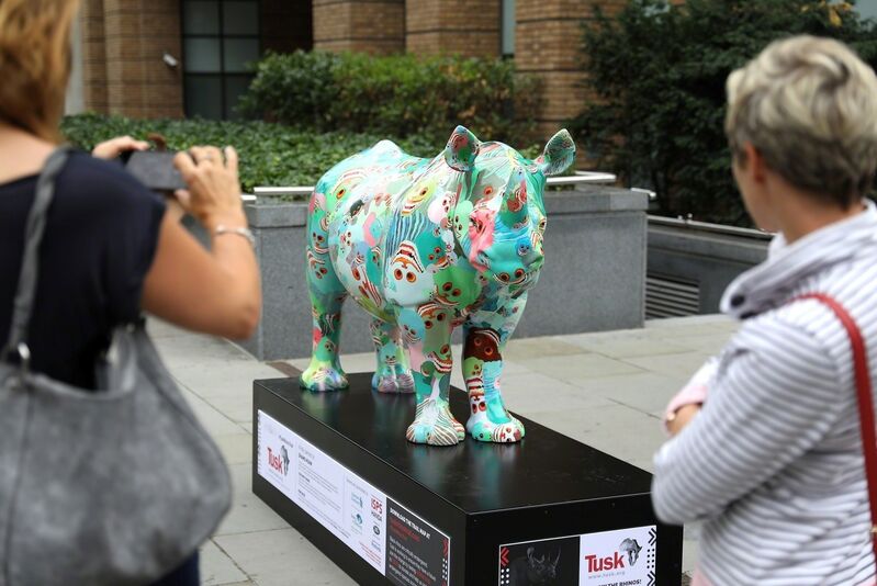 Zhang Huan, ‘The Poppy Rhino’, 2018, Sculpture, Rhino: fibreglass rhino (fire retardant) with internal armature Finish: Acrylic and varnishes, Tusk Benefit Auction