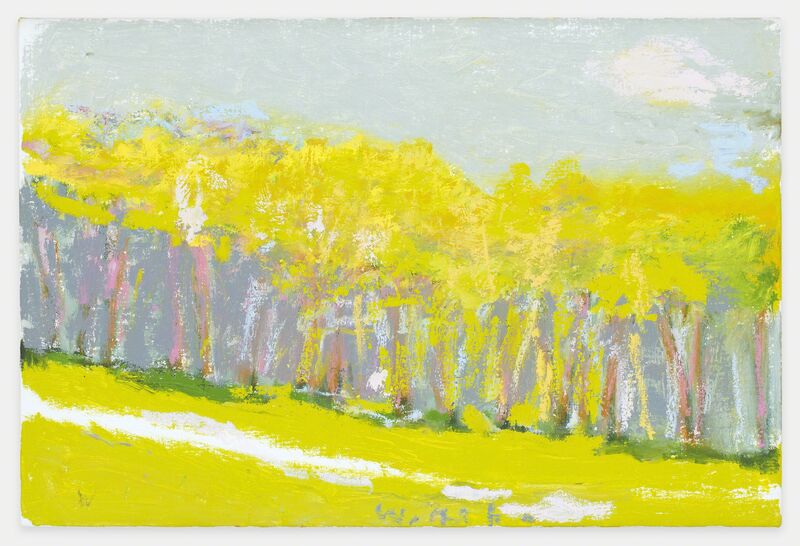 Wolf Kahn, ‘Yellow Trees Against a Gray Sky’, 2017, Painting, Oil on canvas, Miles McEnery Gallery