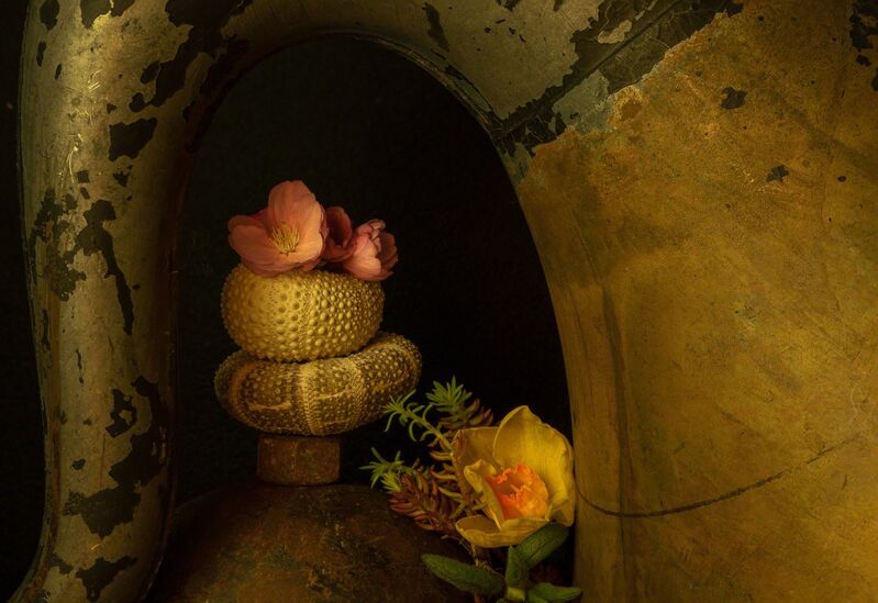 Allan Markman, ‘Still Life with Spring Flowers and Gramophone’, Photography, Archival pigment print, Soho Photo Gallery