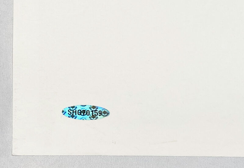 Shepard Fairey, ‘'Jordan: Hall of Fame Portrait' (framed)’, 2009, Print, Screen print on off-white, Speckletone fine art paper. Custom framed in archival matting with UV-protective plexi-glass and white hardwood frame., Signari Gallery