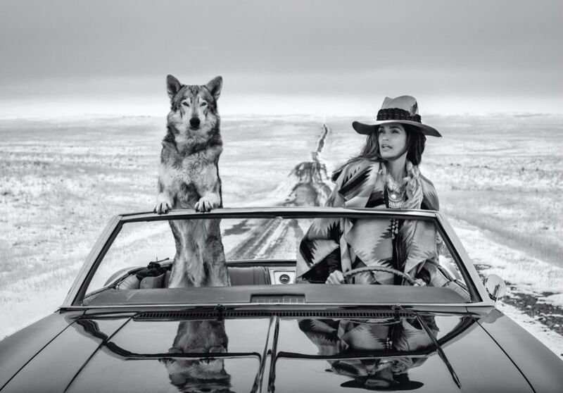 David Yarrow, ‘On the road again’, 2020, Photography, Archival Pigment Print, The Daville Baillie Gallery