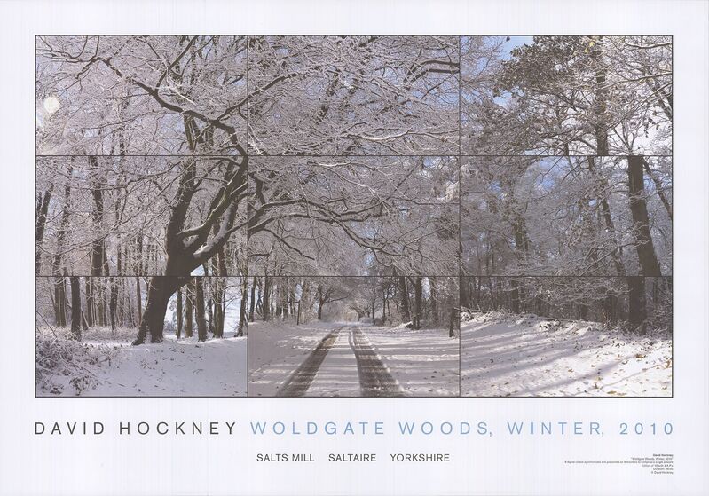 David Hockney, ‘Woldgate Woods, Winter’, 2010, Print, Offset Lithograph, ArtWise
