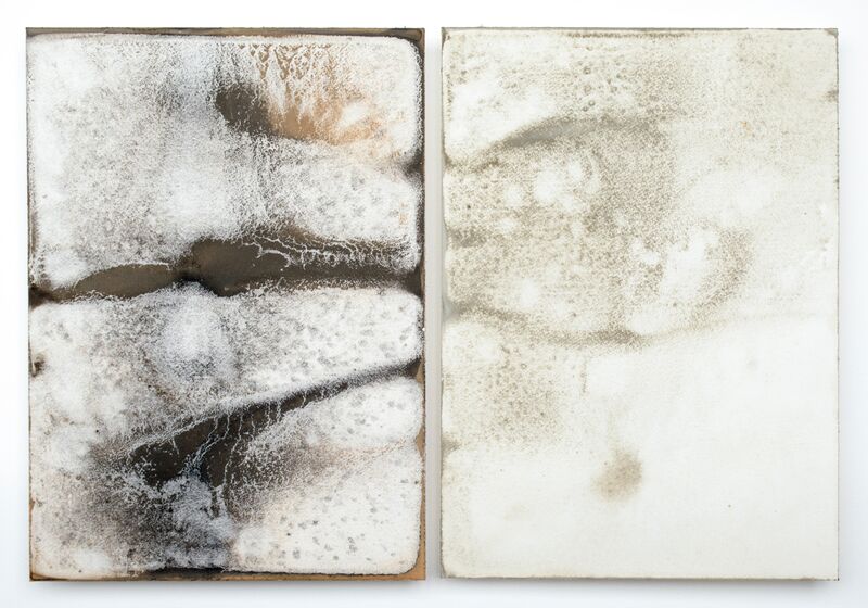 Shinji Turner-Yamamoto, ‘Sidereal Silence: Irish Study #36 (diptych)’, 2015, Drawing, Collage or other Work on Paper, Ca. 450-million-year-old Ordovician fossil dust, turf ash, mica, rainwater, nikawa glue, tree resin, arches paper, Sapar Contemporary