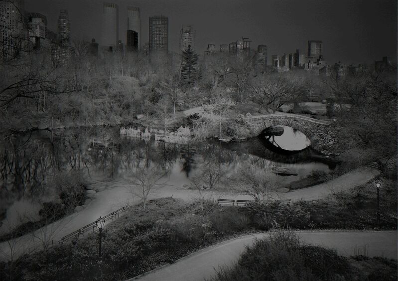 Michael Massaia, ‘Deep In A Dream - Central Park - North West View’, 2014, Photography, Selenium Toned Silver Gelatin Photograph, Holden Luntz Gallery