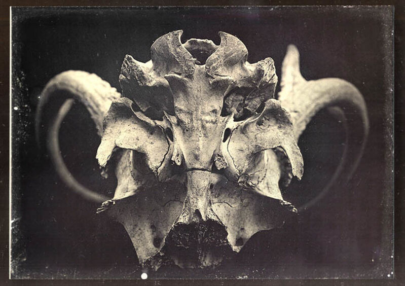Irving Pobboravsky, ‘Symmetric Mask’, 2002/2002, Photography, Daguerreotype (3/4 plate) in glass and mirror mount, Contemporary Works/Vintage Works
